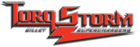 TorqStorm Logo